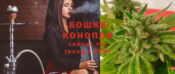 Альфа ПВП Магадан