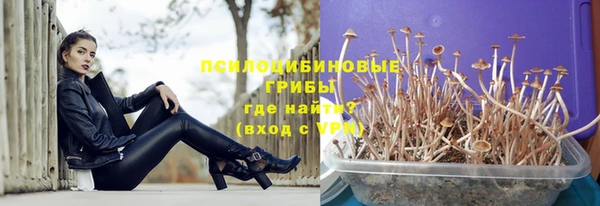 спайс Магас