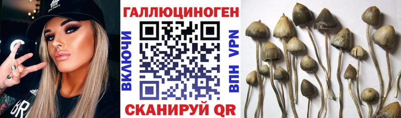 Галлюциногенные грибы мухоморы  Окуловка 